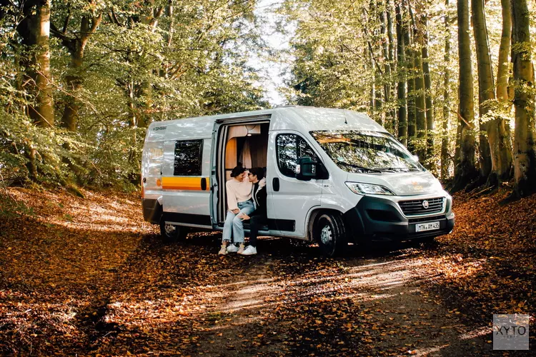 Indie Campers werkt samen met Forstfreunde: CO2 compensatie voor je roadtrip door het planten van bomen