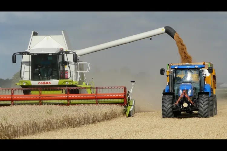 26-jarige ondernemer uit Etten-Leur teelt biologisch