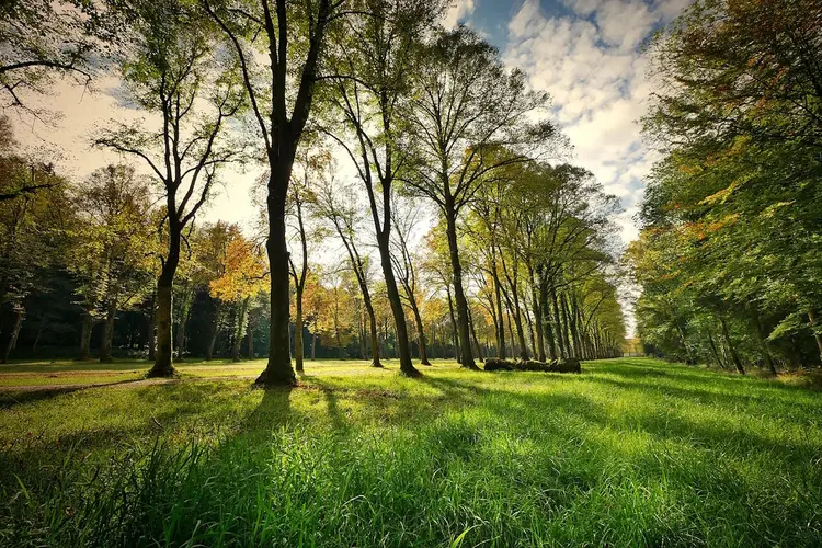 Breda viert officiële status van Van Gogh Nationaal Park